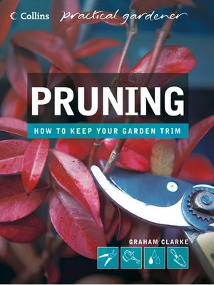 cover image of Pruning (Collins Practical Gardener)
